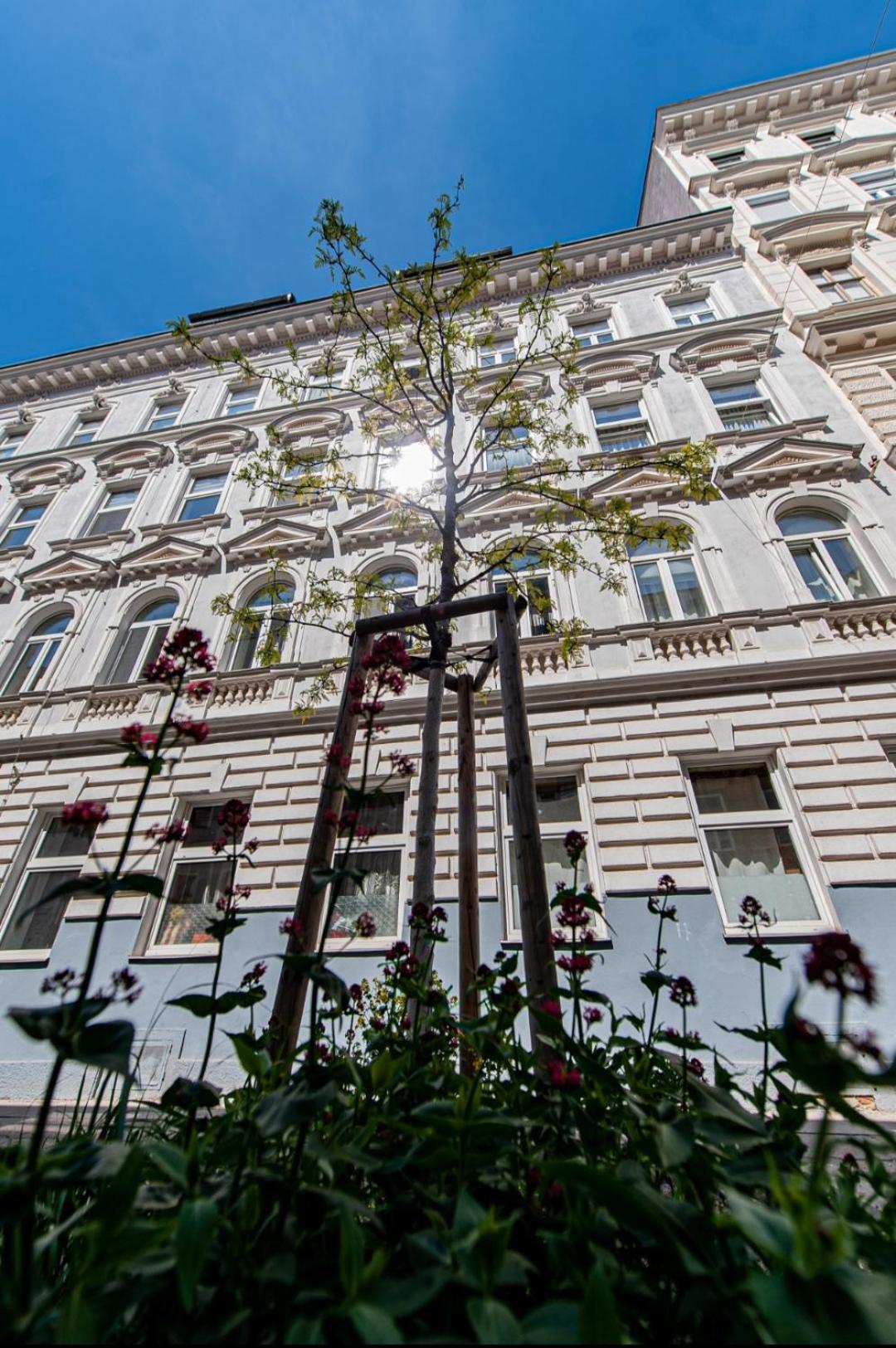 Vienna My City Apartment 1 Bedroom Zewnętrze zdjęcie